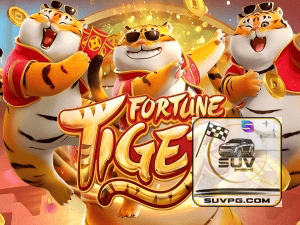 Guia install APK SUVPG BR